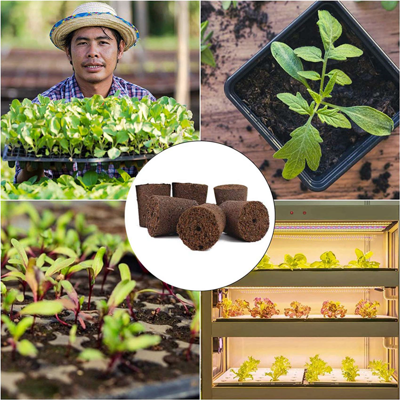 48X Plant Grow Sponges For Gar - Smart Garden Nutrients recension och pris