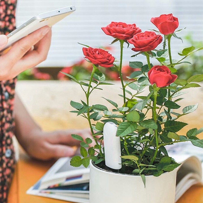 HHCC Flower Monitor Flora Gard - Smart Garden Water recension och pris