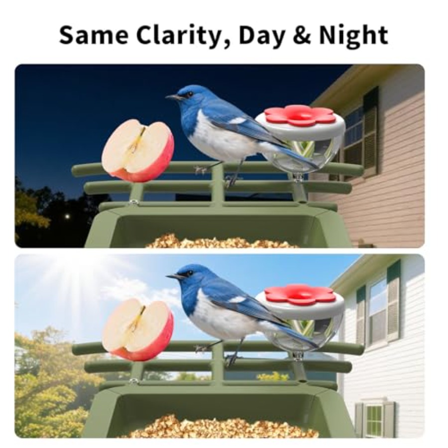 Outdoor garden birdwatching sm - Smart Garden Ai recension och pris
