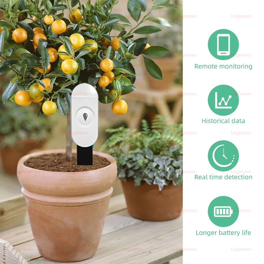 Zigbee Soil Moisture Tester Me - Smart Garden At Home recension och pris