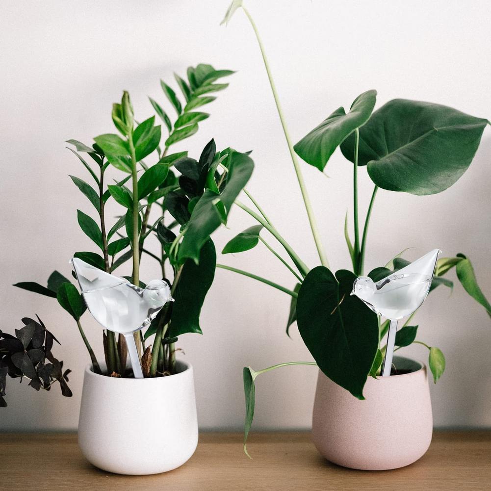 Automatic Plant Watering Bulbs - Smart Garden Home recension och pris