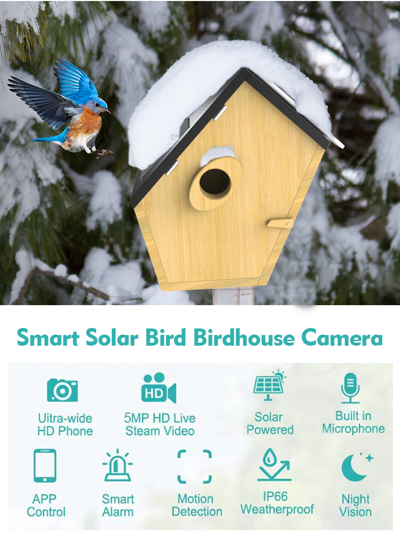 Modern New Trend AI Recognitio - Smart Garden Ai recension och pris