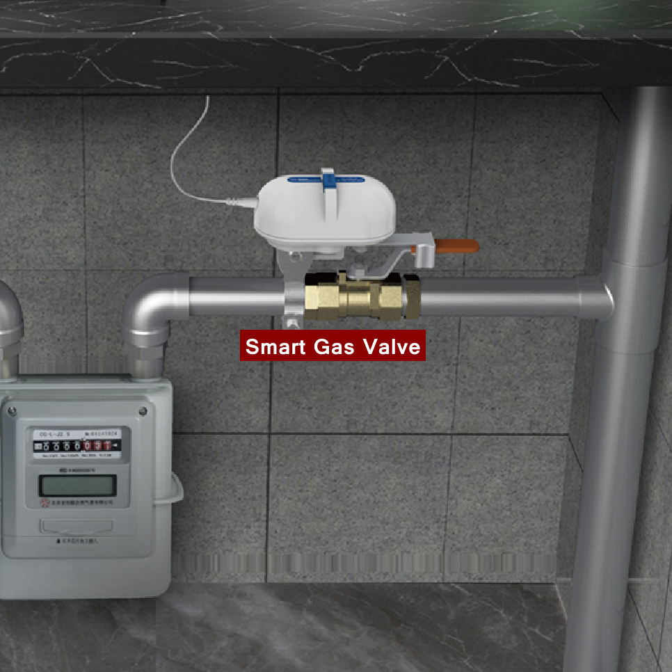 Tuya Smart Home WiFi Zigbee Wa - Smart Garden Water recension och pris