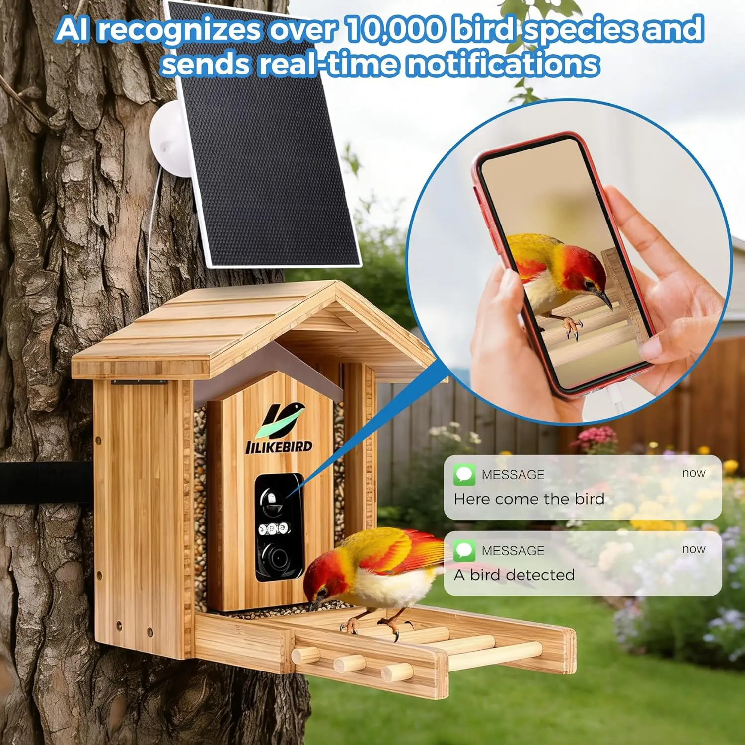 Smart Bird Feeder 4K Camera AI - Smart Garden Ai recension och pris