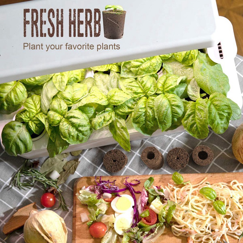 Plant Grow Sponges For Garden  - Smart Garden Nutrients recension och pris