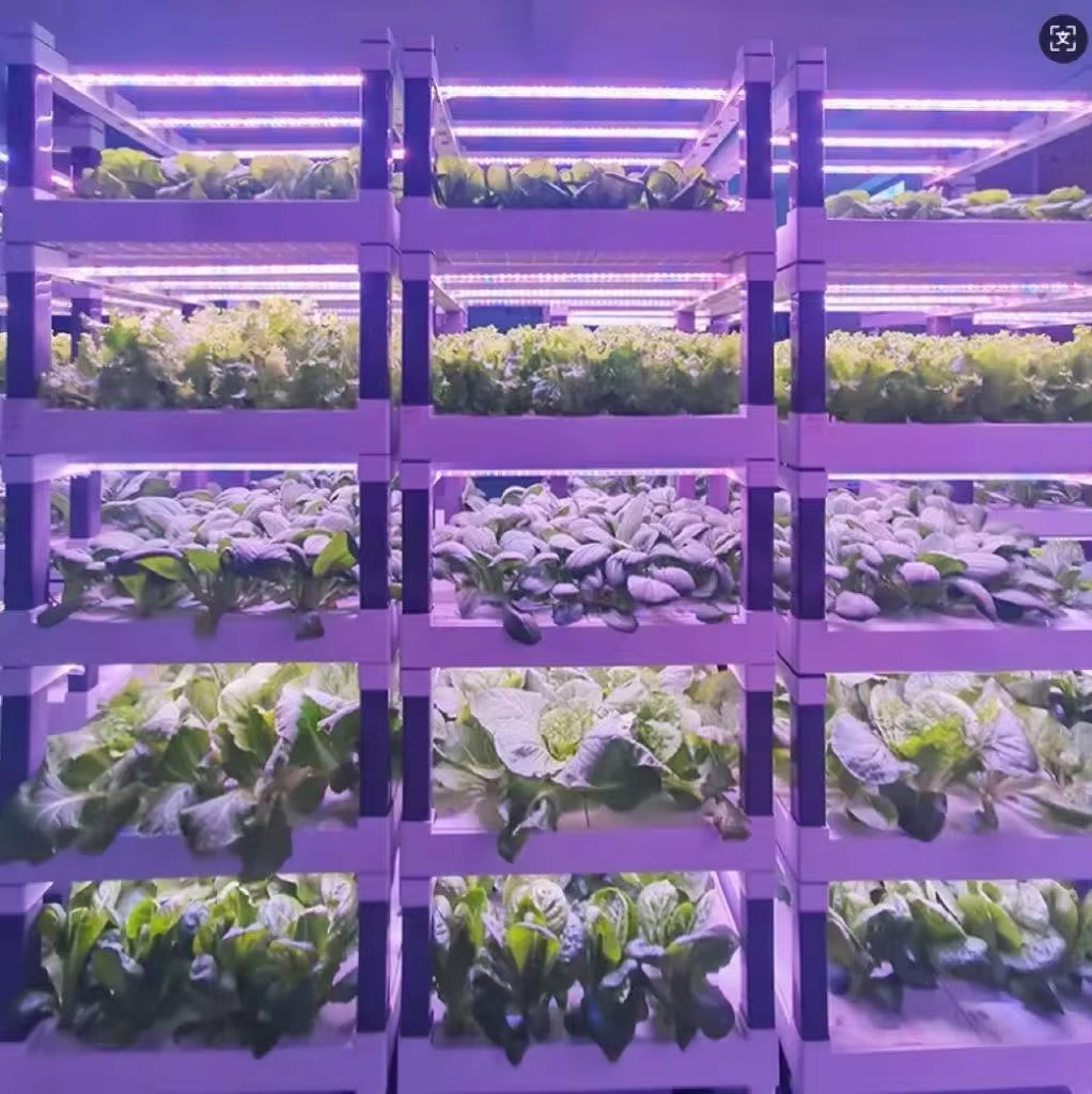 Hydroponic Grow System Greenho - Smart Garden Home recension och pris
