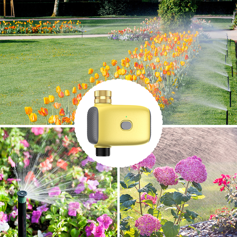 Wholesale Smart Digital  Water - Smart Garden Water recension och pris
